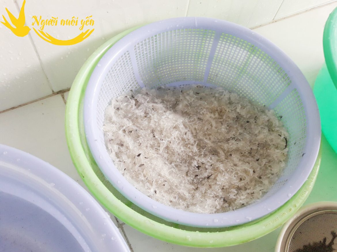 Cách nhặt sạch lông yến bằng dầu ăn